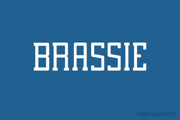 Brassie Family: A Slab Serif Font for Dynamic Branding