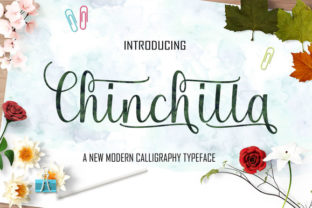 Chinchilla Font for Elegant Editorial Design