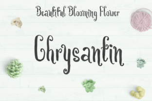 Chrysantin Font: A Playful Script for Editorial Design