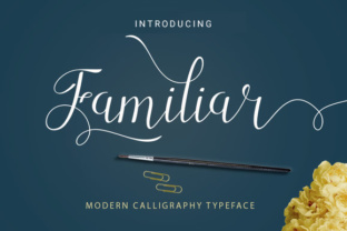Familiar Font for Editorial Design and Creative Typography