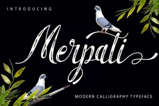 Merpati Handwritten Script Font for Elegant Web Design