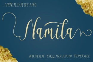 Namila Handwritten Script Font Review for Elegant Branding