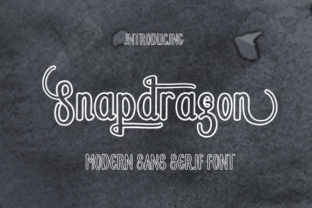Snapdragon Font for Modern Brand Campaigns