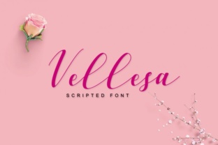 Vellesa Script: The Handwritten Font That Elevates Campaign Design